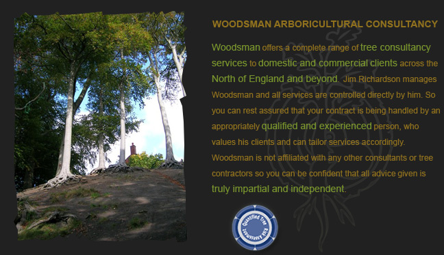 Woodsman Arboricultural Consultancy Introduction